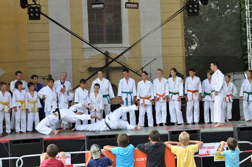 ukazky 2012__19.JPG